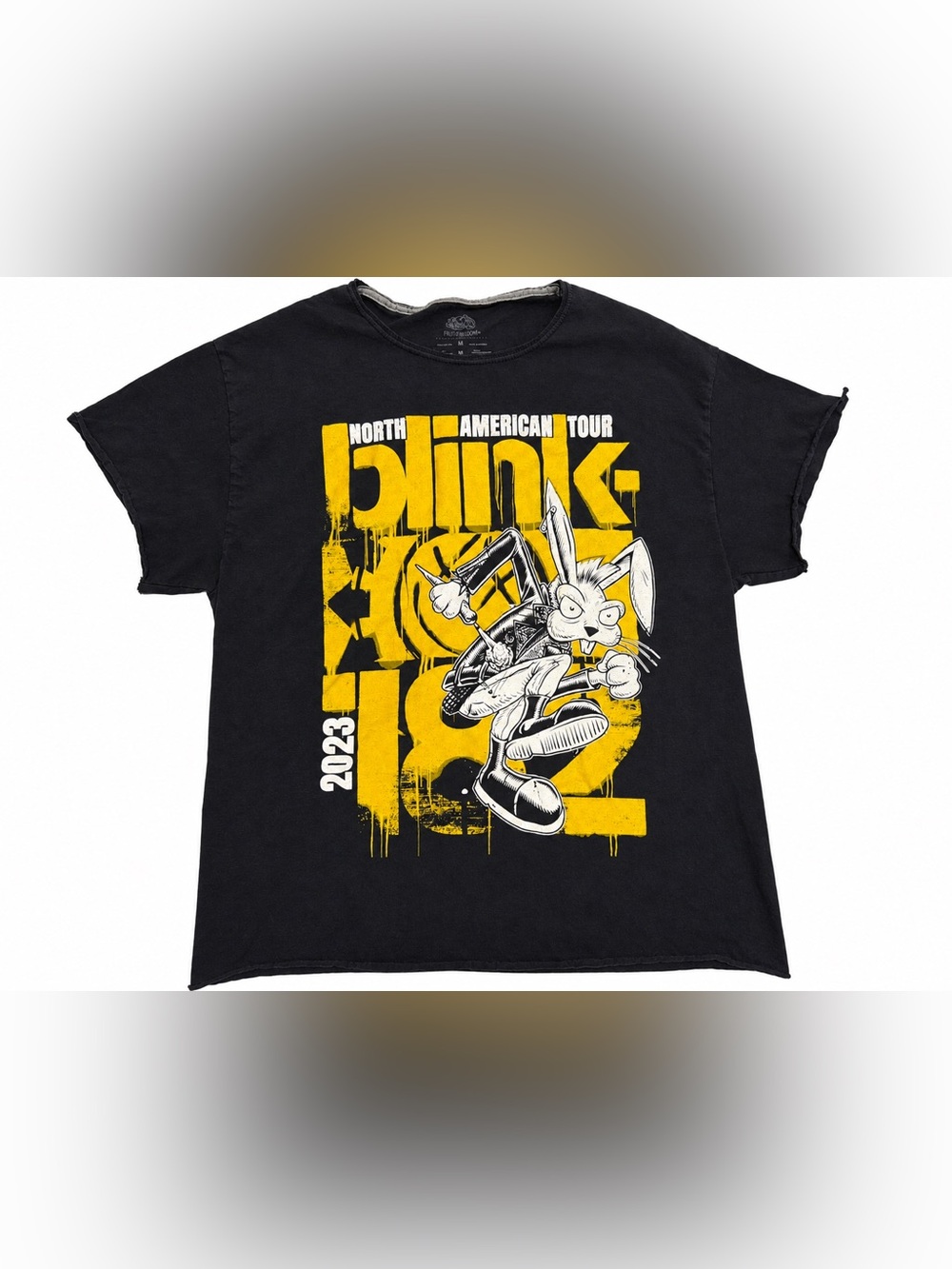Blink 182 2023 Tour Turnstile Distressed Concert Band Tee M
